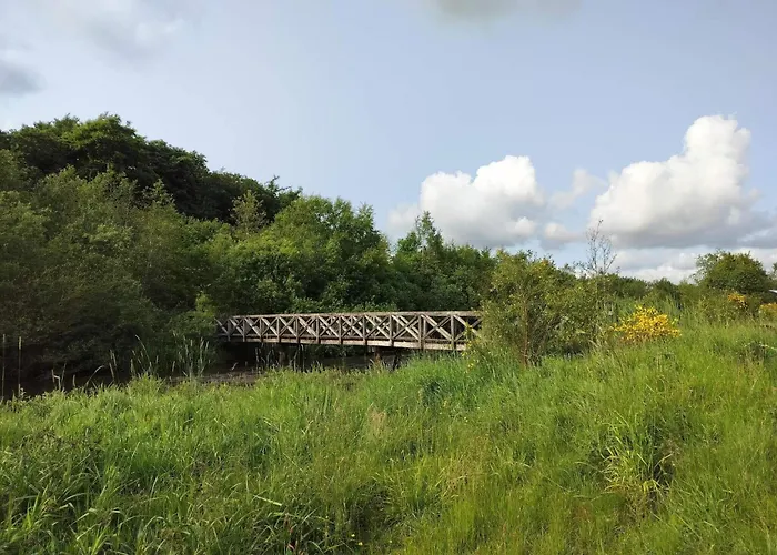 8 Person In Ansager-by Traum